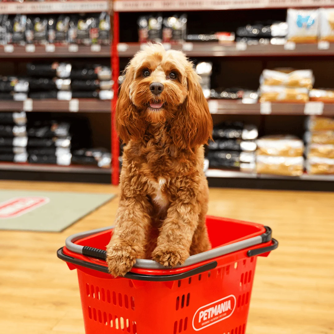 Ruby Heart Awards 2025