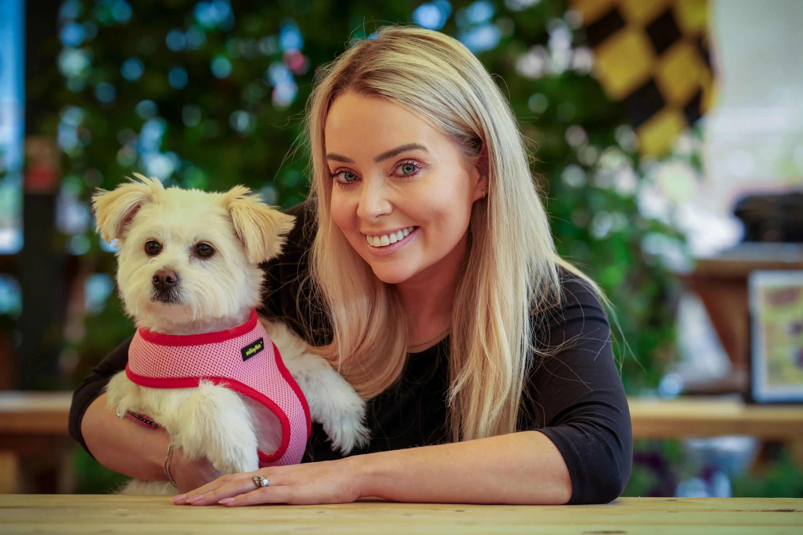 11 DVR65862 scaled 1